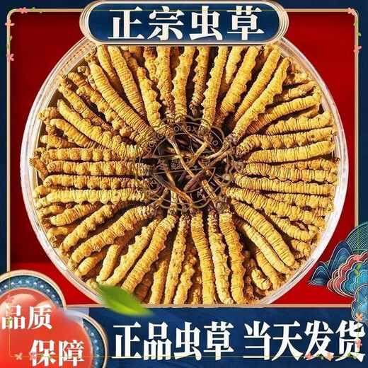 
Authentic Cordyceps sinensis first period selected nourishing dry goods two gram gift boxes for gifts and nutritious Cordyceps tonics, authentic Cordyceps sinensis in Tibetan areas, 10 gram trial packages