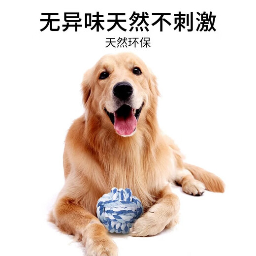 Youfan Cute Dog Toy Set Teeth Grinding Resistance Bite Relieve Boredom Puzzle Food Missing Ball Golden Retriever Teddy Bichon Training Toy Ball