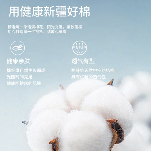 Shanshan (FIRS) DP no-iron long-sleeved shirt men's pure cotton business formal wear cotton no-iron shirt blue small grid 42