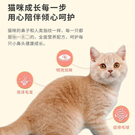 Xiaodiqu Cat Food 10KG McFudi Little Bitou Full Price Salmon Flavor General Fattening for Young Cats 20Jin Jin is equal to 0.5kg McFudi Little Bitou General Cat Food for Adults 10kg