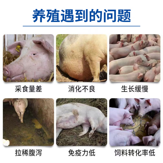 Zhuerjian fattening and fattening pig fattening agent pigs grow and eat Zhuerjian trace element feed additive for veterinary use standard 3 bags official
