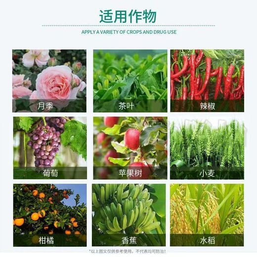 Дифеноконазол, натуральный фунгицид, мучнистая роса, вышивка, антракноз, бенмеконазол, пестицид, вся коробка, оптовая продажа, 10 грамм, 10 пакетов