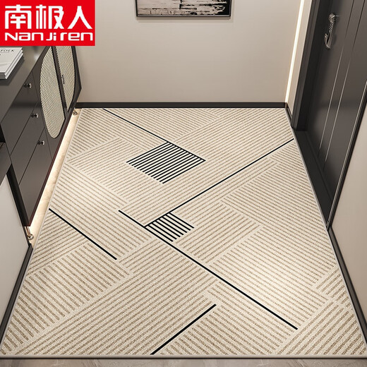 CLCEY entrance door floor mat sense entrance door mat wipeable and wash-free entrance mat non-slip and stain-resistant household door mat Jian Qiuling-14109 200cm*300cm new upgraded quality assurance