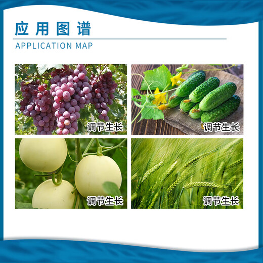 Lanyuesulon 0.1% Thidiazuron grape cucumber melon expansion regulator growth regulator 100g 100g*50