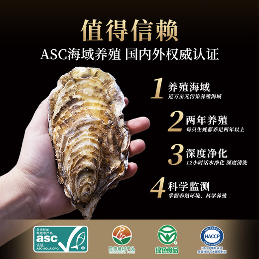 Lighthouse Jellyfish Fresh Rushan Oyster XL Net Weight 5 Jin Jin equals 0.5 kg Straight from the source