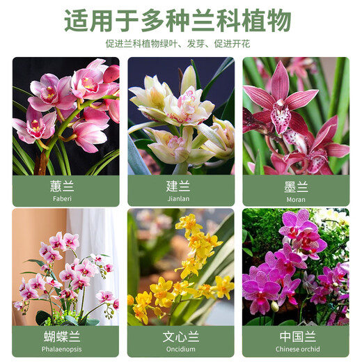 Captain's Garden Orchid Special Clivia Phalaenopsis Planting Material High-end Orchid Soil Granular Fertilizer High-end Pine Bark Orchid High-end Version 15 Liters (Pine Bark + Orchid Stone)