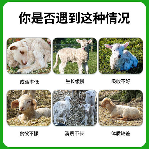 Yingmeier Yingmeier Lamb Premix Pulled Lamb Precision Opening Material Skeleton Special Fattening and Weight Gain Lamb Premix 20kg*10 Bags Buy 10 Get 1 Free