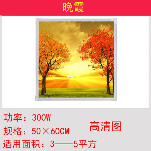 Graphene heater mural 300W graphene carbon crystal wall heating mural heater electric heater quick heating toilet white board white frame mural electric heating plate 300W nine fish picture
