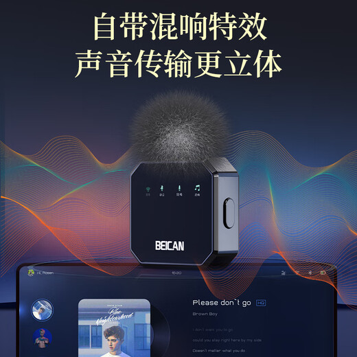 Mylasen Beican Wireless Lavalier Microphone Anchor Live Recording Equipment Outdoor Interview Short Video Radio Douyin K Song Noise Reduction Microphone Suitable for Apple Android Black One to Two Type-c Interface