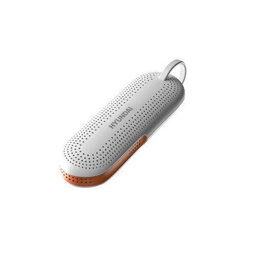 HYUNDAI Korean shoe dryer, winter shoe dryer, shoe dryer, shoe warmer, shoe warmer, retractable shoe warmer, shoe dryer, adult + timing + purple light + pull-out type, white gray