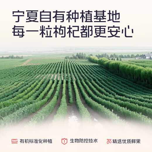 
Produced by Bairuiyuan Guoxiaofan Red Wolfberry Raw 210ml (30ml*7 bags) Ningxia Zhongning Red Wolfberry Fresh Juice 100%