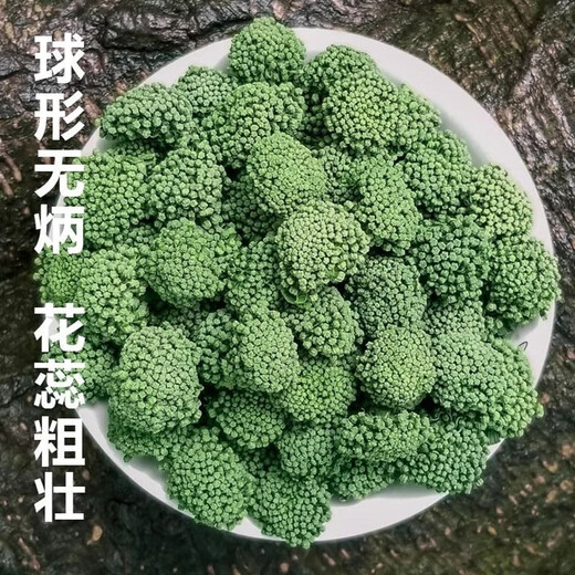 崹艼胖东来品质云南文山三七花官方店旗舰三七花中药材克三七头茬 精选三七花500克 【袋装】
