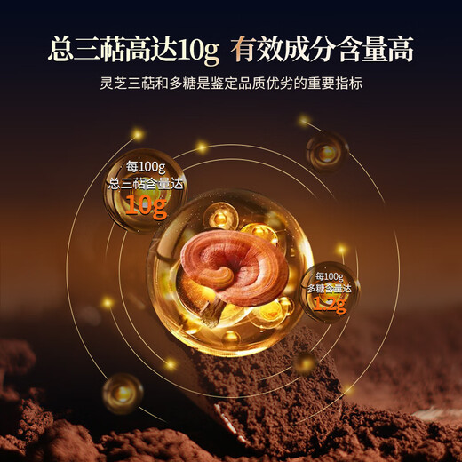 Jieshi Ruijian Broken Ganoderma Spore Powder 1.2g*100 Bags Gift Box Post-Illness Weakness Enhances Immunity Holiday Gift