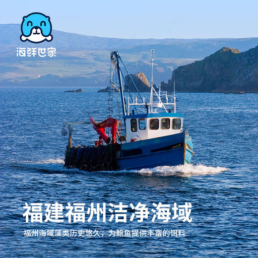 Seafood Family Fujian frozen large abalone net weight 360g 8 pieces hot pot barbecue ingredients fresh shellfish seafood New Year gifts