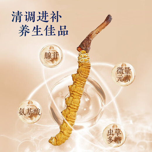 首养堂冬虫夏草3根/g 20克虫草礼盒新干冬虫草补品送父母