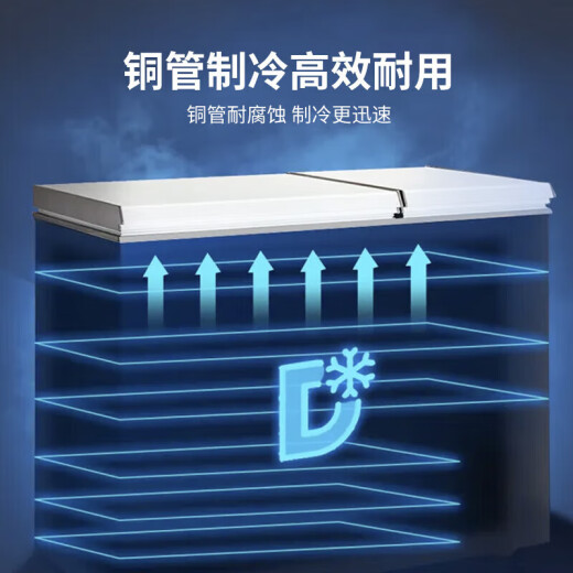 荣事达688商用家用卧式大冷柜大容量 冷藏冷冻转换冰柜商用小型单温冰箱全冷冻柜 一级能效 【2.0米长 988双门冰柜】一级能效