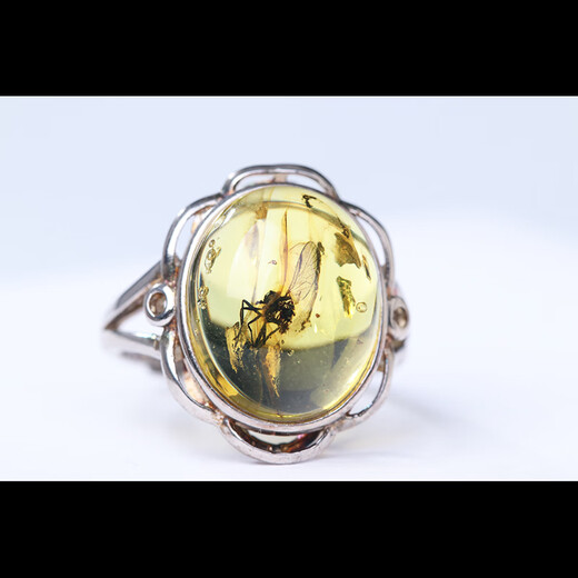 Yue'er collection-grade natural amber beeswax amber ring gold amber protozoa amber men's and women's insect amber complete and clear 3.52g insect amber ring