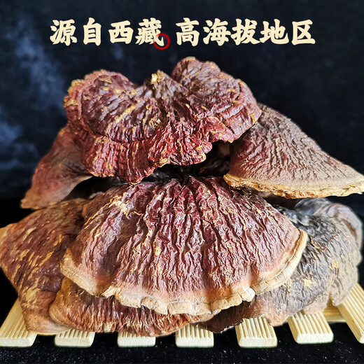 Pangdonglai calidad Ganoderma Lucidum Regalo Regalo Dry Linzhi Red Zhi Gold Edge Powder Powder Powder 500G Gangling Lucidum Regalo de regalo (500 g)