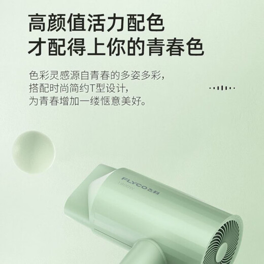 博锐飞科高速电吹风机家用负离子护发大风力速干低噪轻音便携式宿舍学生用不伤发吹风筒 飞科吹风机FH6296不可折叠 1800W绿色