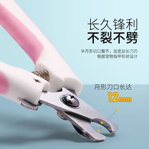 Captain Ban, suitable for novices, pet nail scissors, cat and dog grooming tools and supplies, with file, small sky blue-free file