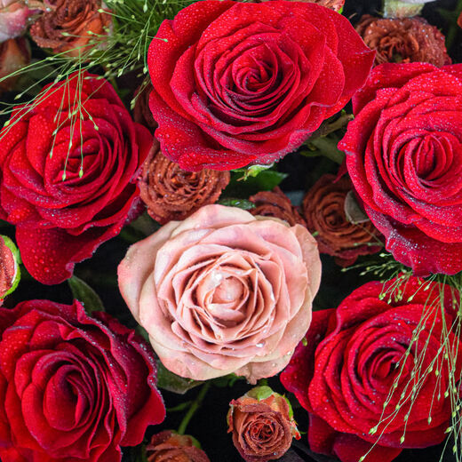 HuaDe Flower Express Delivers rose bouquets within hours, birthdays, Valentine’s Day gifts for girlfriends to express love, same-day delivery in the same city, sincere love | dyj41