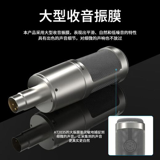 Audio-Technica AT2035 condenser microphone recording studio equipment set professional recording audio novel recording anchor live broadcast complete set of computer karaoke external sound card mobile phone microphone AT2035 silver microphone cantilever bracket model free fine-tuning 3 effects