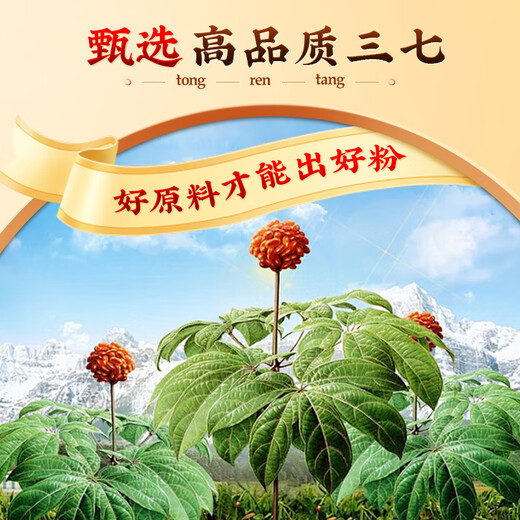 Beijing Tongrentang's self-operated Panax notoginseng powder 2g*30 bags gift box authentic and authentic super pure Panax notoginseng powder Yunnan Wenshan disperses blood stasis, stops bleeding, reduces swelling and relieves pain