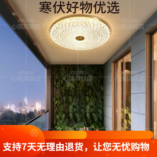 OUOETY心镜全铜户外吸顶灯别墅入户门顶灯简约过道露台阳台灯防水庭 X38 X3895-400/圆形