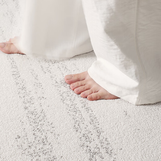 Dajiang Starlight Gem Glue-free Carpet Living Room Wash-Free Waterproof Light Luxury High-end Sofa National Subsidy 190x300cm