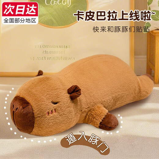 Aishang Bear Capibala Pillow Doll Plush Toy Extra Large Rag Doll Girl Sleeping Strip Boy Birthday Gift Girl