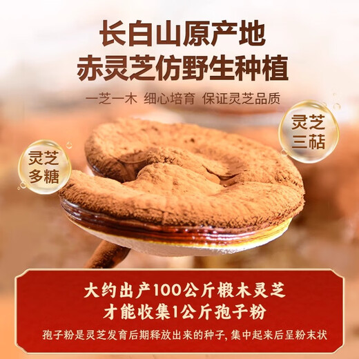 Qin Dingtai Changbai La pared de ruptura de la montaña Ganoderma Lucidum Spore Powder 2G*40 bolsas/caja para mejorar los productos de salud de inmunidad para el polvo de túnica de mediana edad y ancianos 80 gramos de pared rota Ganoderma Lucidum Spore Powder (5 cajas)