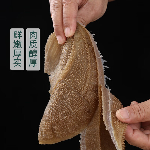 冷鲜手撕大片毛肚600g（固形物含量≥50%）