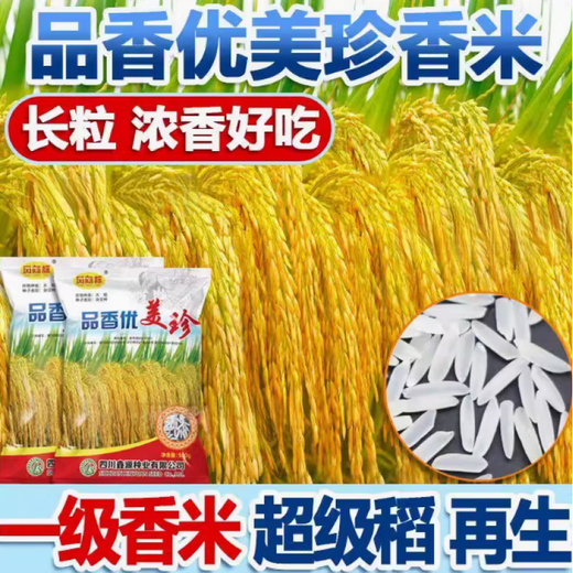 High-yield first-grade fragrant rice rice seed Pinxiang Youzhen hybrid rice disease-resistant and lodging-resistant fragrant rice long-grain rice Pinxiang Youzhen 1 Jin Jin is equal to 0.5 kg + package insecticide + sterilization + bird repellent