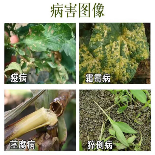 66.5% propamocarb hydrochloride, cucumber damping-off disease, vegetable and fruit tree downy mildew, low fungus pesticide and fungicide 500g*1 box of 20 bottles