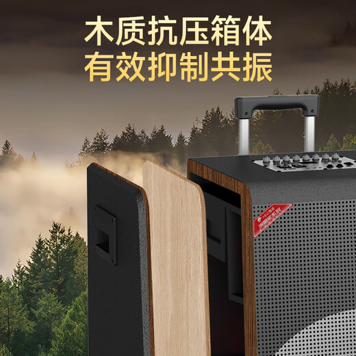 HiVi outdoor rod audio high-power professional musical instrument stage mobile speaker square dance live broadcast karaoke microphone all-in-one 18-inch subwoofer MY18