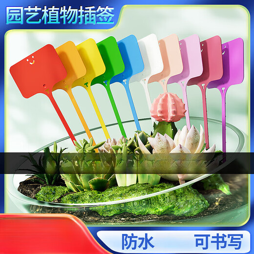 Этикетка с классификацией растений, цветочный горшок для рассады, пластиковая этикетка для суккулентов, цветочная садовая земля, брендовая этикетка с названием растения в горшке, светло-фиолетовый, 100 шт. (9,6 см) + ручка