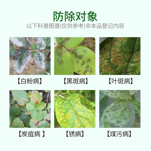 Lane Ping'an 50% carbendazim fungicide flower rose succulent bactericide black spots white powder yellow leaves black leaves anther universal type