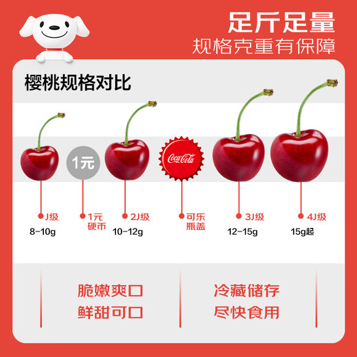 Jingxiansheng Domestic Cherry Cherries J Grade 1Jin Jin is equal to 0.5kg, single fruit 8g, fresh fruit, sweet and sour taste