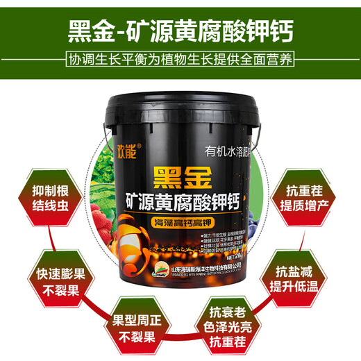 Within a week, 900 people worked together to provide potassium fulvic acid and humic acid water-soluble fertilizers from a single mineral source for root and fruit expansion and conditioning to villages and towns.