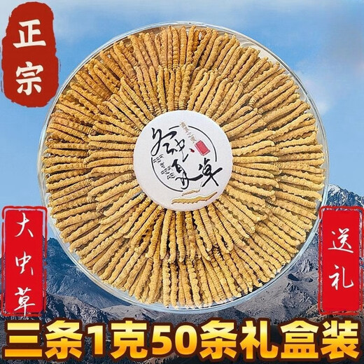 正宗雪山藏区野那l曲高海拔雪山冬虫夏草整草虫草断虫草按克按条 西藏那曲雪山虫草整肉1克
