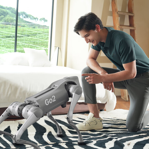 宇树（Unitree） Go2 语音 AI大模型 机器狗Go2 电子狗 具身智能 伴随 仿生陪伴机器人 四足机器狗 现货 Go2-PRO长续航+遥控器