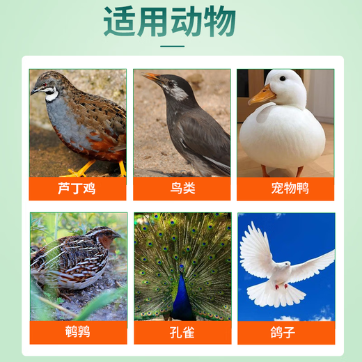 Pet Feather Pecking Bird Insect Cleaner Parrot Feather Cleaner Rutin Chicken Feather Pecking Bald Back Bird Feathers Special Pet Feather Pecking Cleaner 1 can/100g (free spoon)