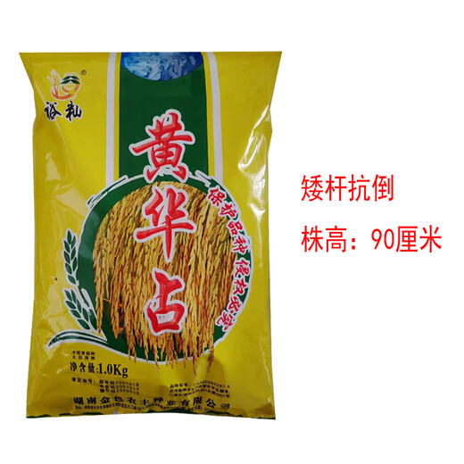 Huang Huazhan Rice Seed Rice Seed Conventional Rice Rice with High Quality and High Yield Two Jin Jin is equal to 0.5 kg Packed Set One