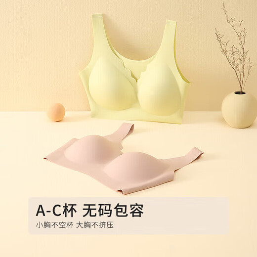 Urban Beauty Underwear Women's No Size High Elastic Seamless Pull-Up Bra Gift Box 2-Pack 2B360J