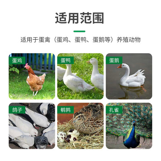 Bai Taikang Golden Egg Duoduo egg-increasing animal rutin chicken, duck, goose, pigeon, quail, egg-laying poultry egg-producing feed additive 1 bag