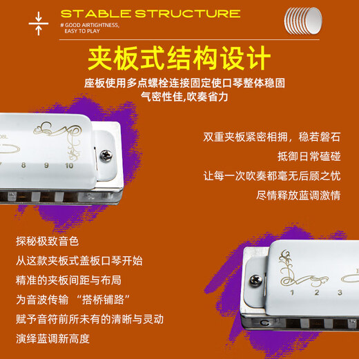 EAST TOP blues harmonica 10 holes T008L PADDY C key