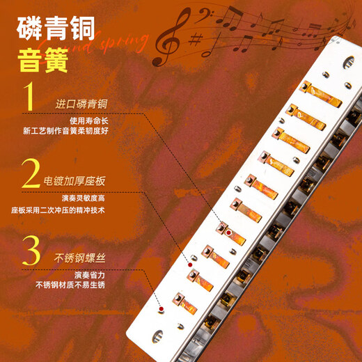 EAST TOP blues harmonica 10 holes T008L PADDY C key