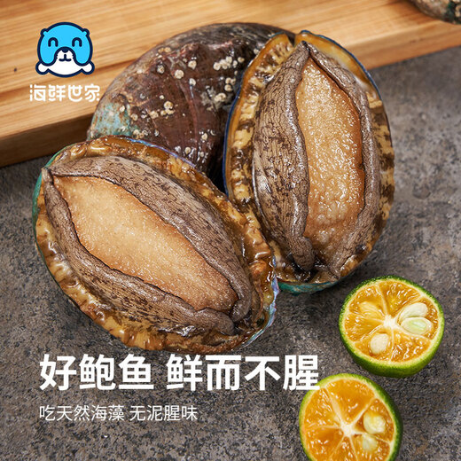 Seafood Family Fujian frozen large abalone net weight 360g 8 pieces hot pot barbecue ingredients fresh shellfish seafood New Year gifts