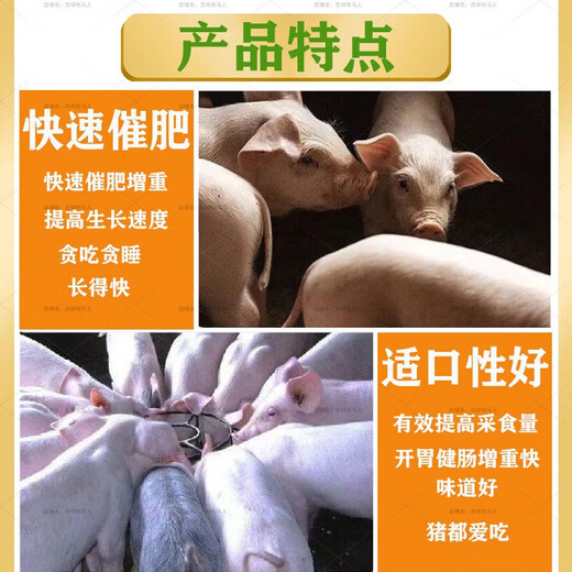 Pig premix, fat pig premix, small, medium and large pig feed premix, factory direct sales compound premix for pigs, 4 types of boar special