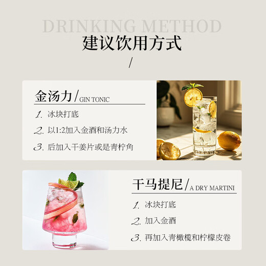 药剂师纯正伦敦干金酒原瓶进口金酒洋酒琴酒杜松子酒金汤力调酒基酒烈酒 瓦伦西亚香橙金酒 1瓶 700mL